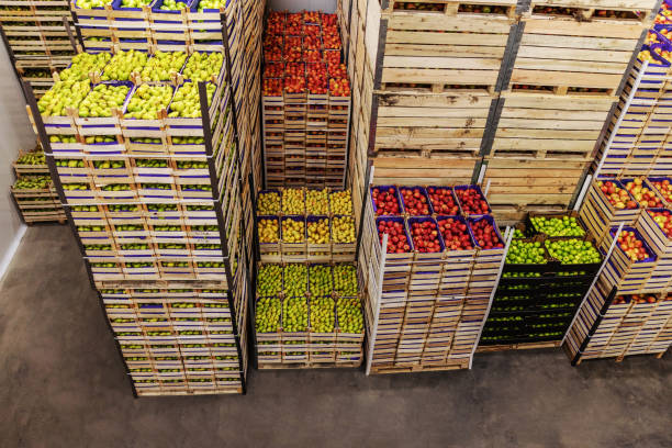 istock Apples and pears in crates ready for shipping. Cold storage interior. 1300328831