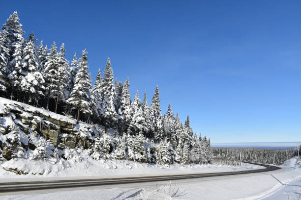 istock The Road to the Rolette 1300328843