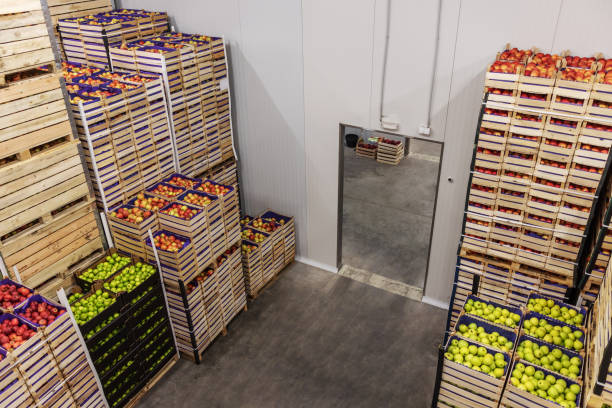 istock Apples and pears in crates ready for shipping. Cold storage interior. 1300328872