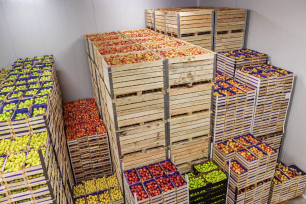 istock Apples and pears in crates ready for shipping. Cold storage interior. 1300329465