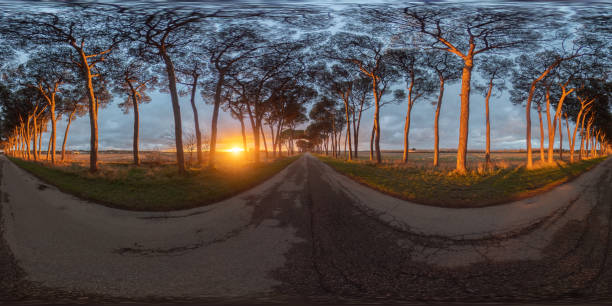 istock 360° VR sunset panorama in a tree lined avenue pines in Tuscany 1300331037