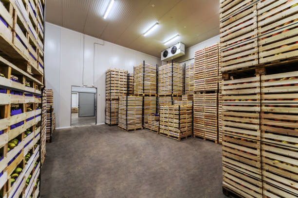 istock Fruits in crates ready for shipping. Cold storage interior. 1300331420