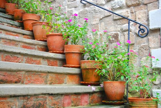 Lush garden scene featuring vivid flora like Rosa (roses) and groundcover ivy, crowned by an overturned terracotta pot. The interplay of light and nature evokes tranquility and simplicity.