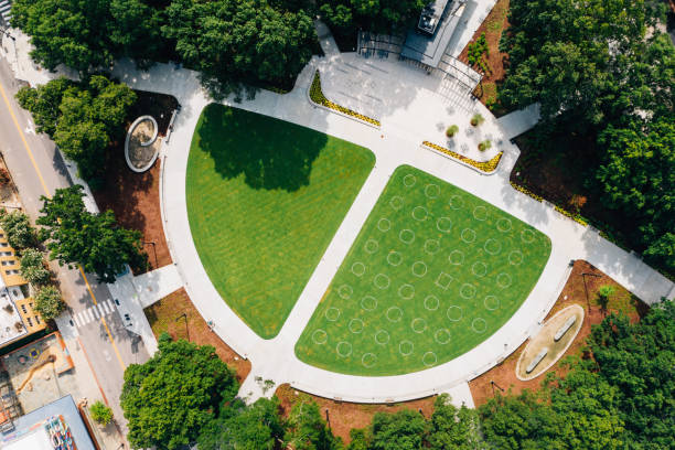 Formed oaks on terraced amphitheater in public landscape city park \