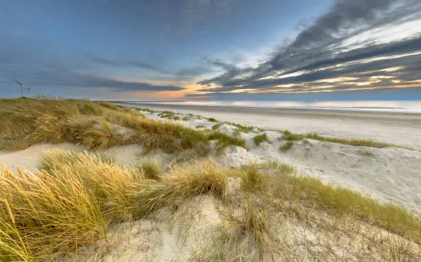 Landscape view of sand dune on the North sea coast at sunset near Wijk aan Zee, Noord Holland Province, the Netherlands. Landscape scene of european nature.