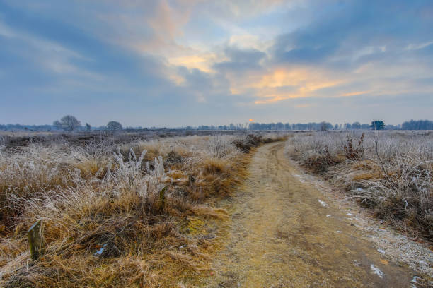 Early morning sunrise on balloerveld nature reserve with frosty heathland