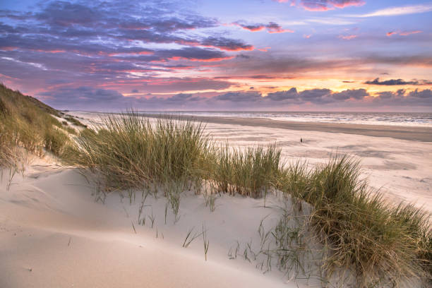 istock View from dune over North Sea 1300333172