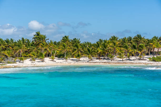 istock Mexican coastline at Costa Maya 1300333601