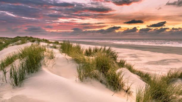 istock View from dune top over North Sea 1300334525