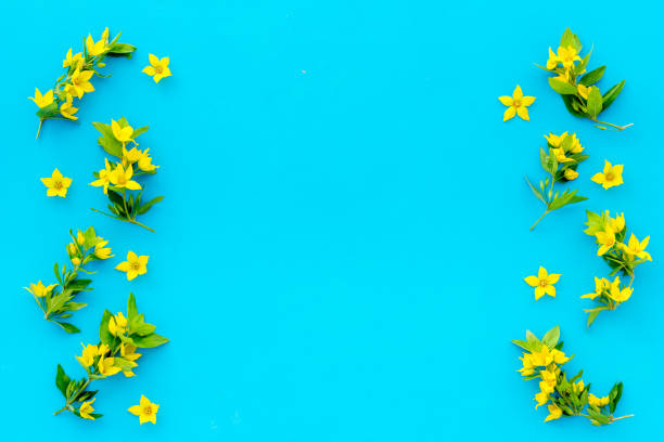 istock Pattern of yellow flower buds, overhead view 1300336120