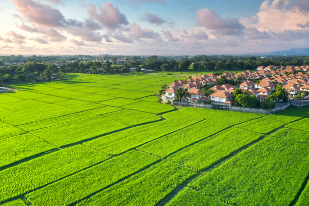istock Land plot, green field and house in aerial view. 1300336869