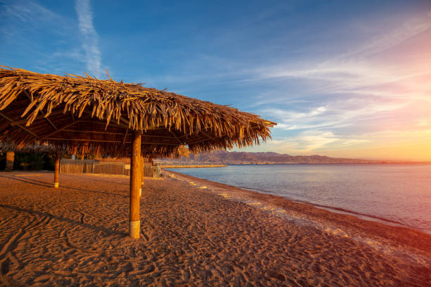 istock Tropical beach scenery with sun parasols. Straw sun umbrellas on the beach at sunset. Eilat, Israel 1300337638