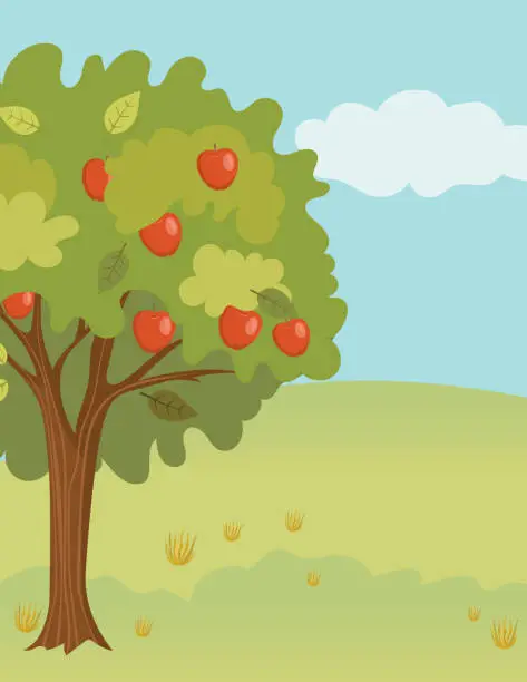 Vector illustration of Apple Tree