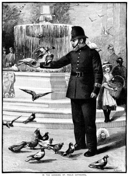 London policeman feeding pigeons in the gardens of St Paul's Cathedral An officer of the Metropolitan Police feeding pigeons in the gardens at St Paul’s Cathedral, London, to the amusement of onlookers. From “The Cottager and Artisan, 1889” published by The Religious Tract Society, London. metropolitan police stock illustrations