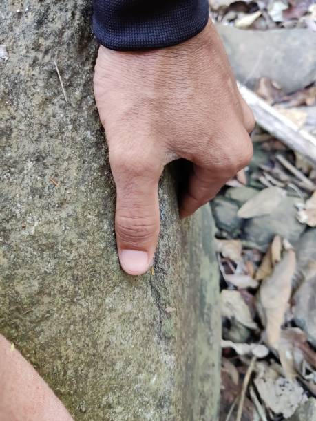 istock Human hand over the rock surface in a forest closeup view 1300345457