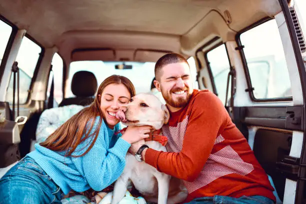 Dog Parents Enjoying Spending Road Trip With Their Pooch