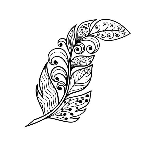 ilustraciones, imágenes clip art, dibujos animados e iconos de stock de pluma vectorial en estilo de arte zen, página para colorear - peacock feather outline black and white