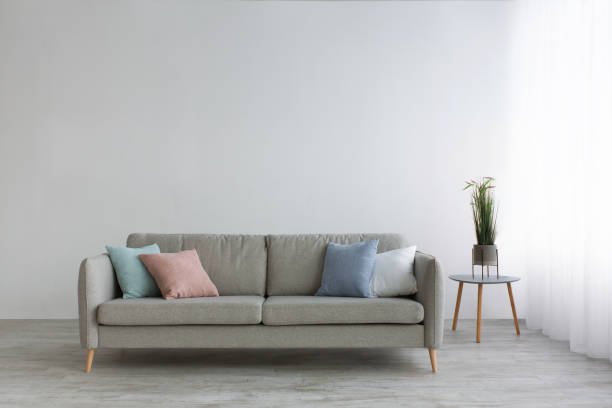 istock Gray sofa with pillows, table with plants and white curtains on window, on light wall background in living room 1300351589