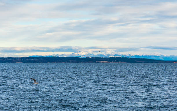 istock Port Townsend Mountain Landscape 2 1300351692