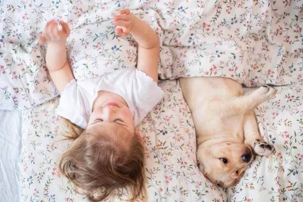 istock She love to share a bed with her best friend -dog 1300355229
