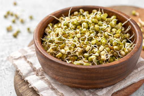 Sprouted mung bean in a wooden bowl on a gray concrete table close-up.