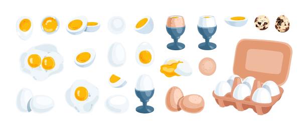 Boiled Egg Photography Healthy Baking Delicious, Food, Egg, Boiled Egg PNG  Transparent Image and Clipart for Free Download in 2023