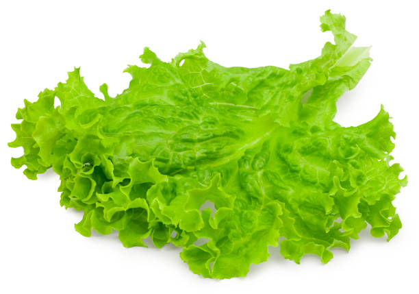 istock one salad leaf isolated on a white background. full depth of field. clipping path 1300358350