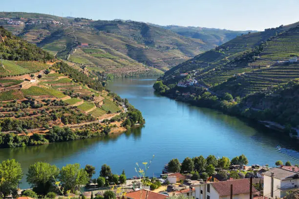 Amazing views of Douro vineyards and river from Casal de Loivos viewpoint in Portugal