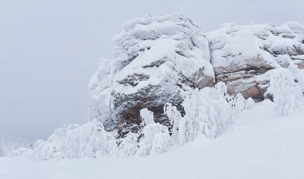 falaise gelée et arbres avec des branches couvertes de rime sur un col de montagne après blizzard - snowpack photos et images de collection