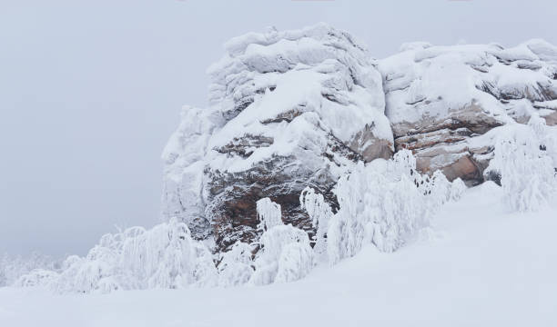 눈보라 후 산길에 라임으로 덮인 가지가 있는 얼어붙은 절벽과 나무 - snowpack 뉴스 사진 이미지