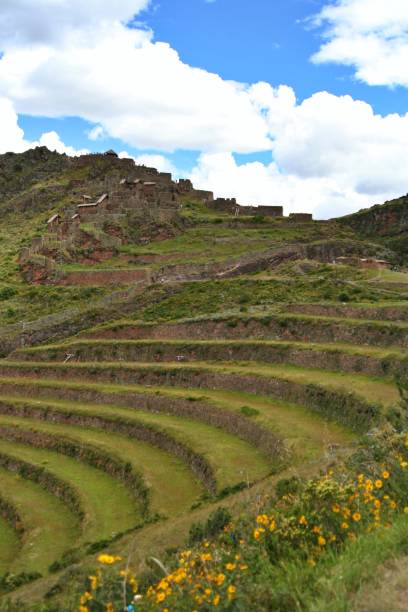 istock Inca Terraces in Pisac 1300361042