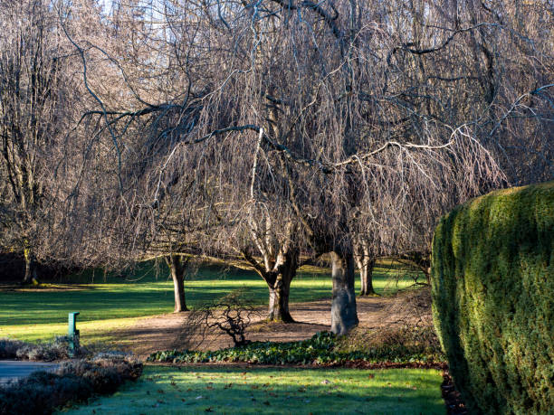 istock VanDusen Park in Vancouver BC 1300362590