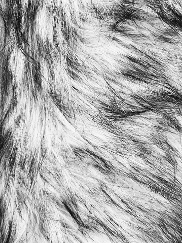 Black and white faux fur textured background