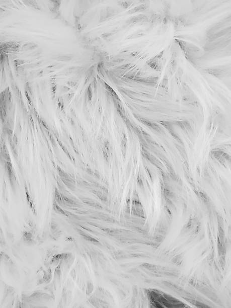 istock Light Gray Faux Fur Background 1300365057