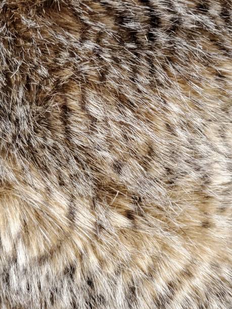 istock Brown and Beige Faux Fur Background 1300365061