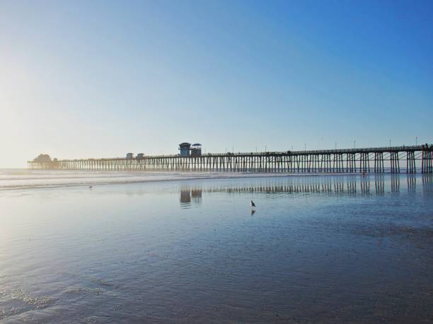 istock Southern California Beach Side 1300366501