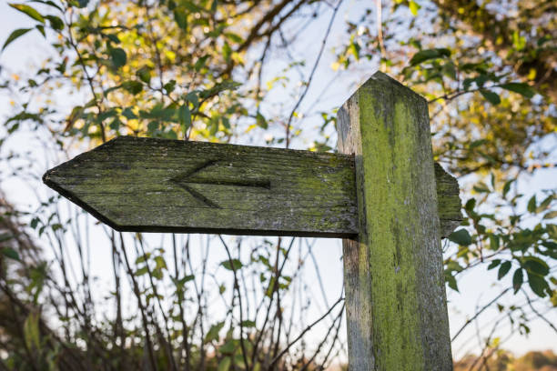 istock Right of way sign 1300366612
