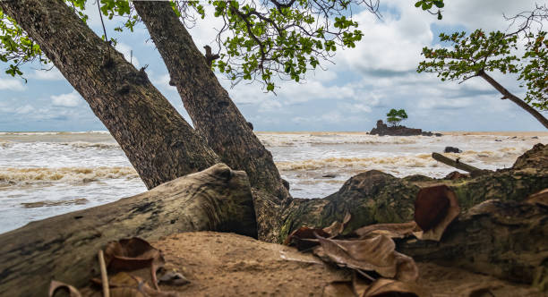 istock Africa landscape from jungle 1300367878