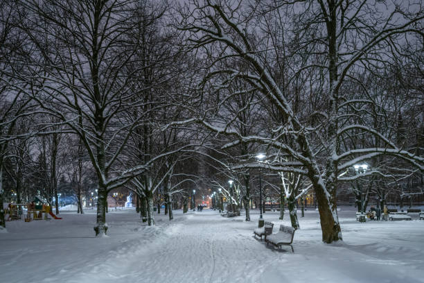istock Park on a winter evening in Riga, Latvia 1300369342