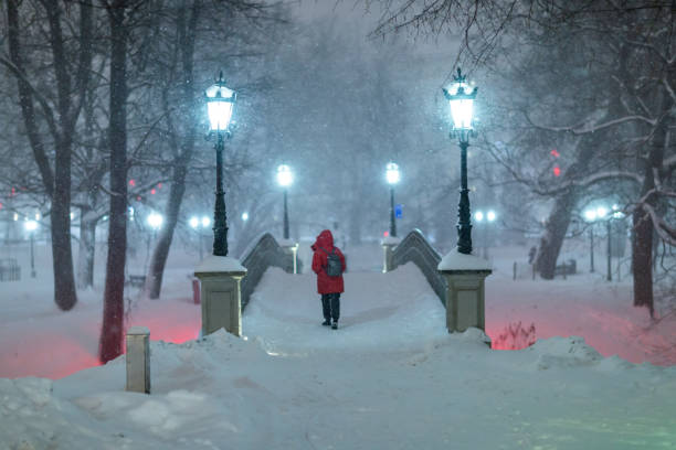istock Park on a winter evening in Riga, Latvia 1300369632