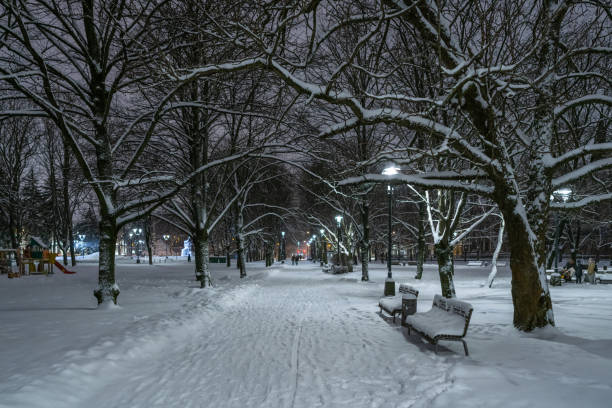 istock Park on a winter evening in Riga, Latvia 1300369739