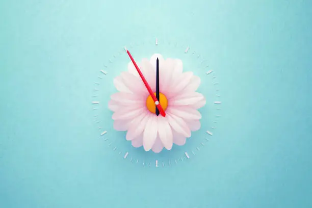 Single white daisy forming clock over teal background. Horizontal composition with copy space. Spring forward and daylight saving time concept.