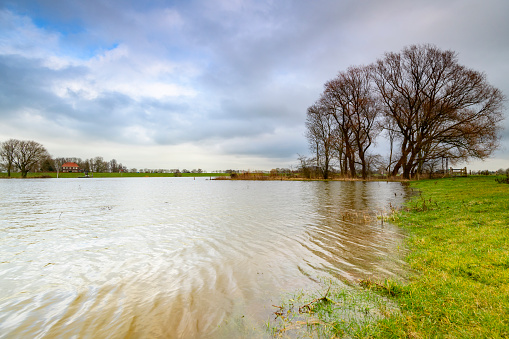 Flooding river IJssel in Overijssel, Netherlands after heavy rainfall in winter. The floodplains between the levees are overflowing.