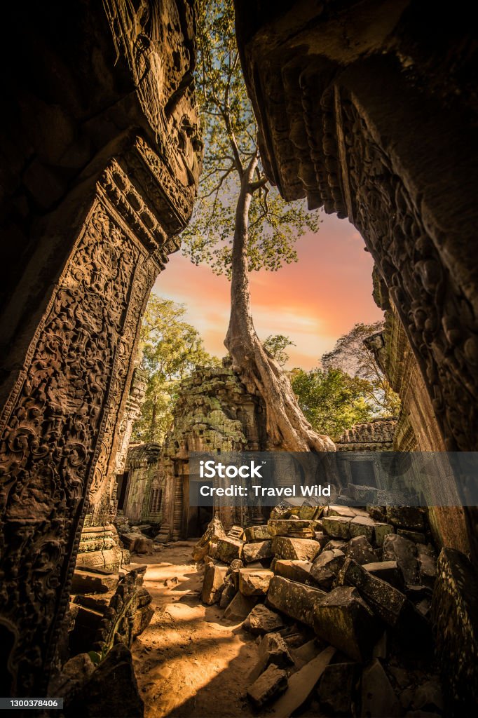 (Selective focus) Stunning view of the Ta Prohm temple with a big old tree. Ta Prohm is the modern name of the temple in Siem Reap, Cambodia. Angkor Wat Stock Photo