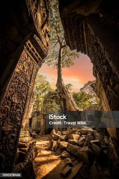 Stunning View Of The Ta Prohm Temple With A Big Old Tree Ta Prohm Is The Modern Name Of The Temple In Siem Reap Cambodia Stock Photo - Download Image Now