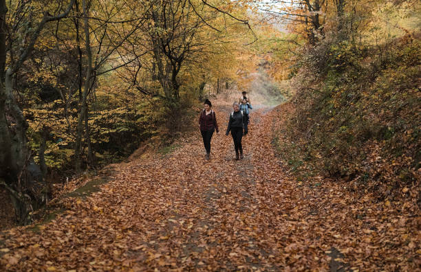 istock Friends hiking 1300379590