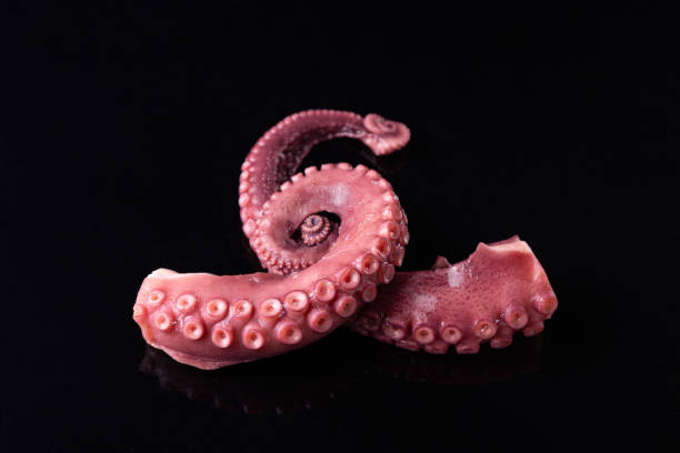 istock tentacles of stew octopus isolated on dark background. 1300380177