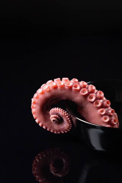 istock tentacle of stew octopus on dark background. 1300380179