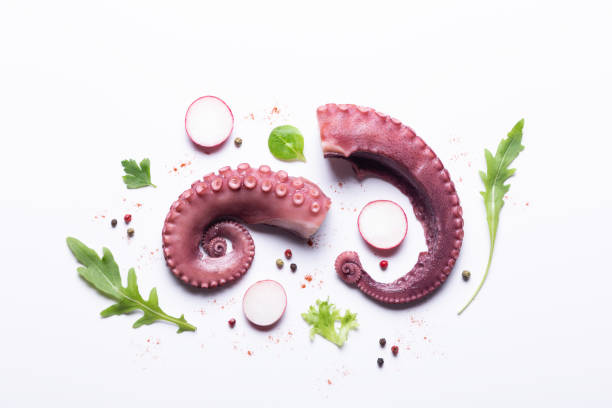tentacoli di polpo di stufato con verdure isolate su sfondo bianco. vista dall'alto. - octopus tentacle isolated white foto e immagini stock