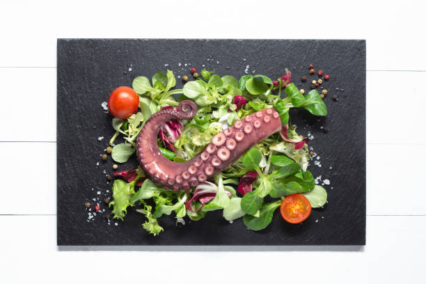 istock stew octopus tentacles on a stone plate on white wooden table. Top view. 1300380181